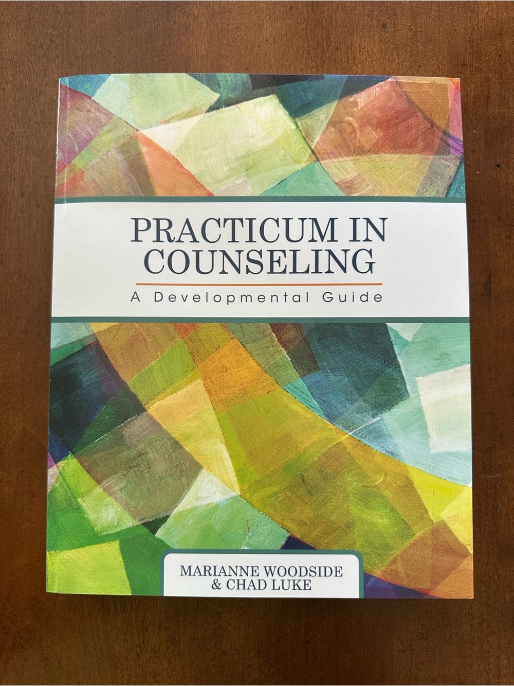 Practicum in Counseling Marianne Woodside & Chad Luke NWOT